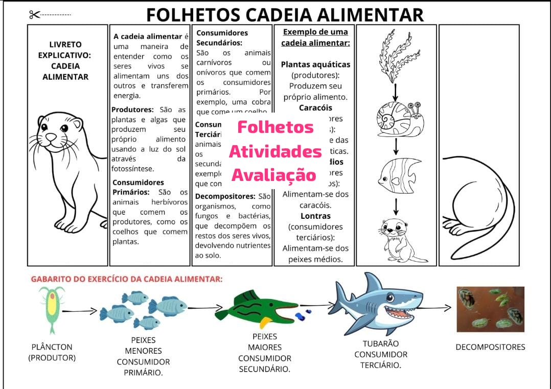 KIT COMPLETO - COMBO de 4º ano - Imagem 7