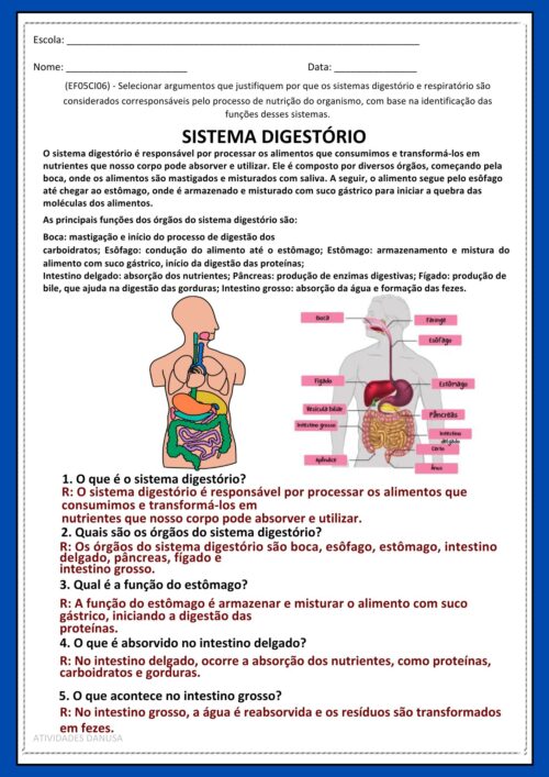 KIT DE CIÊNCIAS DE 5º ANO - Image 4