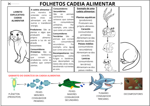 LIVRETOS DA CADEIA ALIMENTAR - Image 2